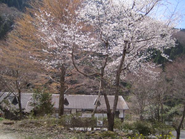杣の里渓流公園に車を停めて、登山開始です。
